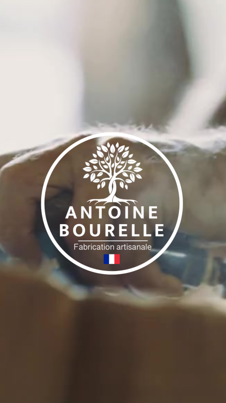 Logo d'Antoine Bourelle avec un arbre stylisé et le drapeau français.